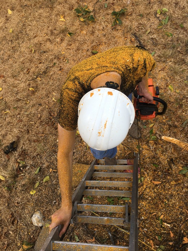 Living Tree Services