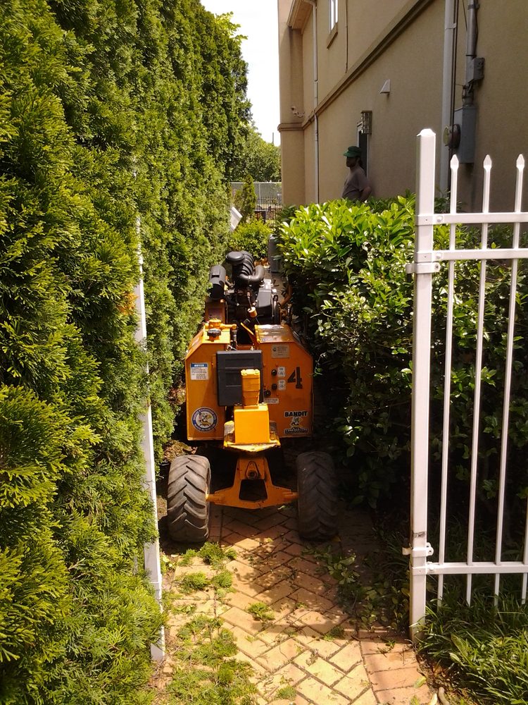 Amboy Tree Service