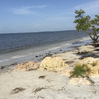 Bunche Beach Preserve 80 Photos 16 Reviews Beaches 18201 Photo Of Bunche Beach Preserve Fort Myers Fl United States Quiet And