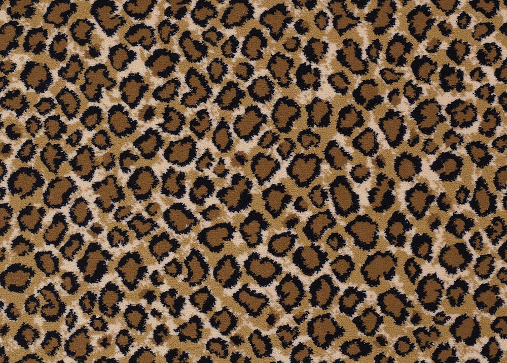 Kaoud Carpets and Rugs