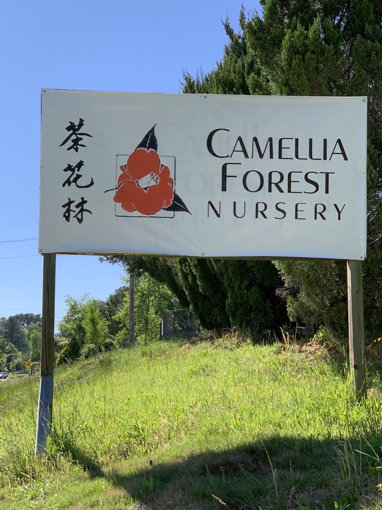 Camellia Forest Nursey