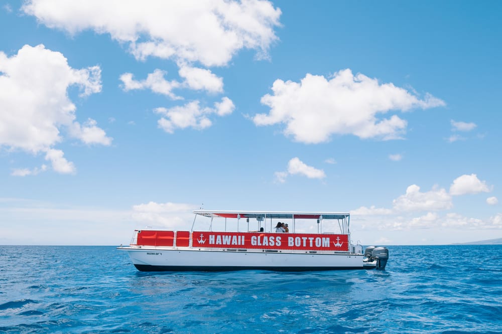 glass bottom boat tours marathon fl hawaii glass bottom boat tours 94 photos 51 reviews glass bottom boat tours marathon fl hawaii glass bottom boat tours 94 photos 51 reviews
