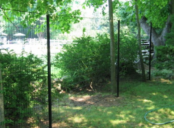 D-Fence