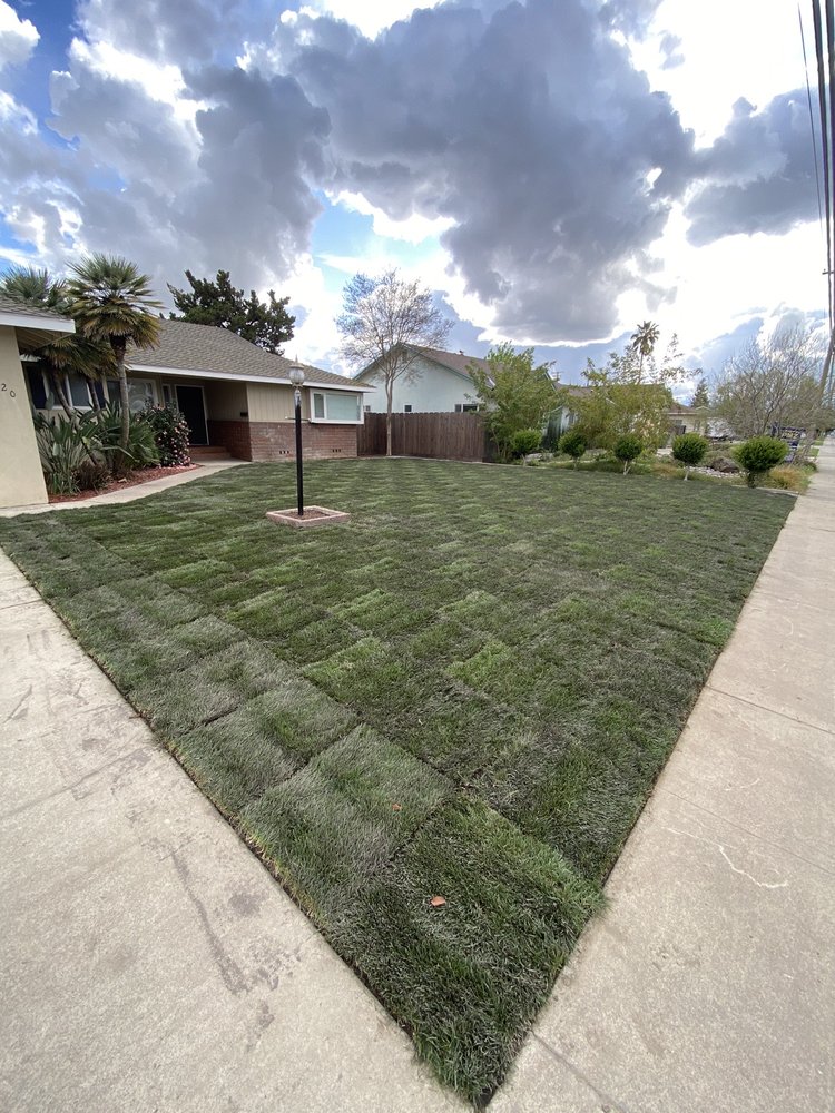 JB & Sons Landscaping