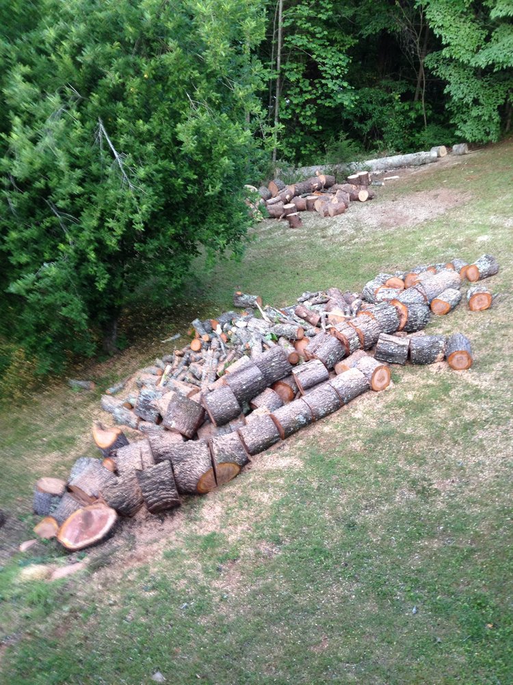 Arborscapes tree service