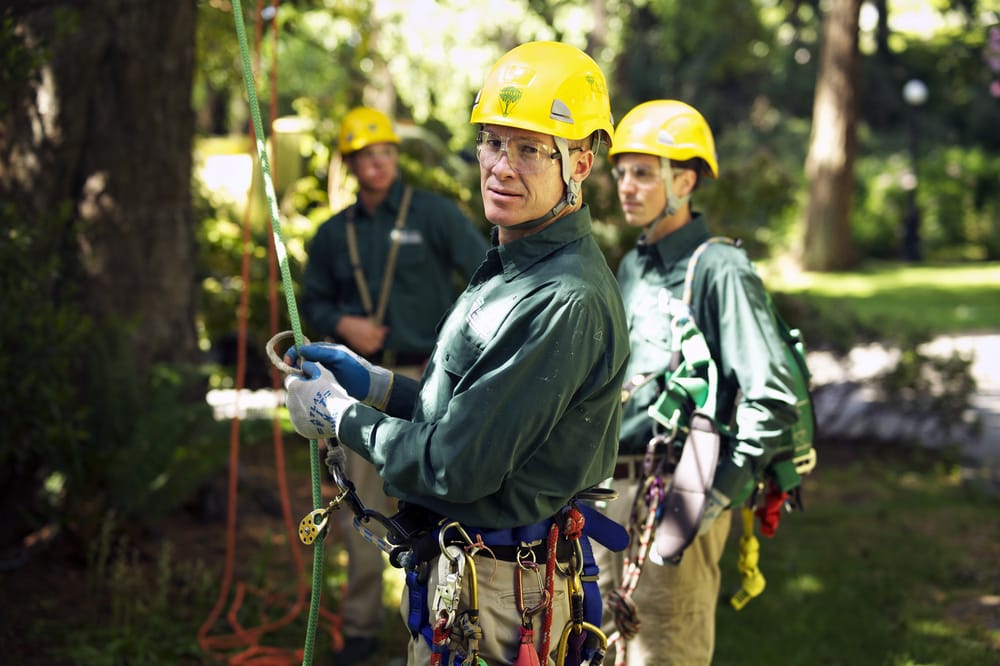 Bartlett Tree Experts - Chambersburg