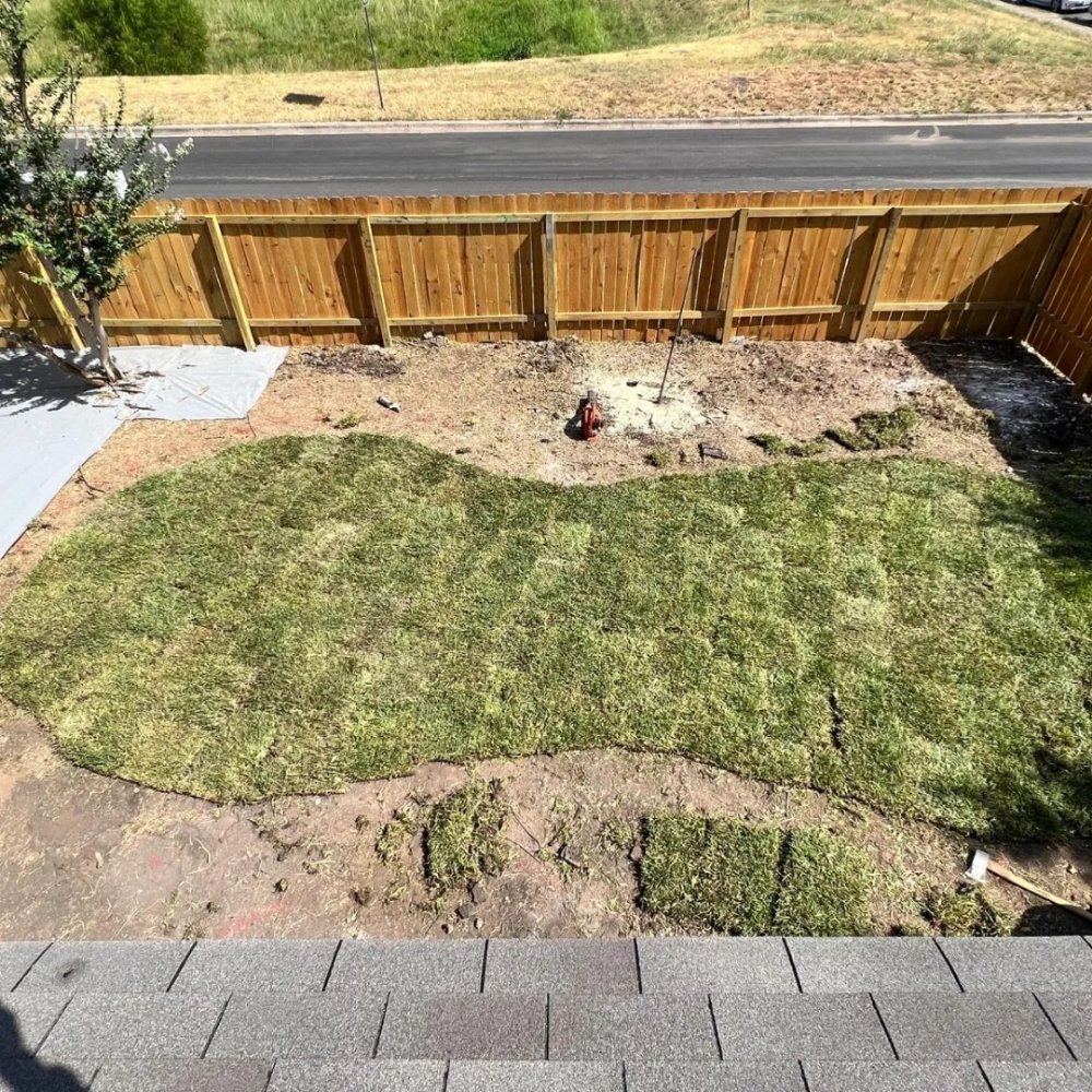 Manuel Tree Services & Landscaping