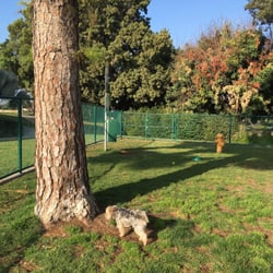 Garden Grove Dog Park Garden Grove Ca Garden Grove Dog Park Garden Grove Ca