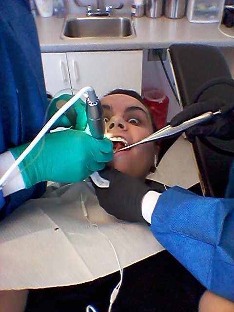 image of business Steven H Young, DDS