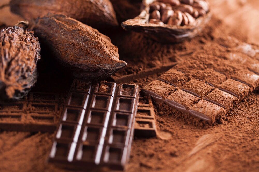 Hidalgo Chocolate Mining Corp