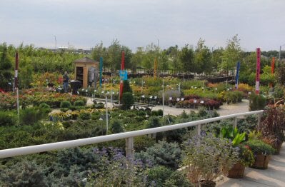 Campbell's Nurseries & Garden Centers