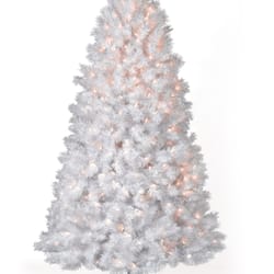 photo of christmas tree market beaverton or united states shimmering white christmas - Frontgate Christmas Tree Reviews photo of christmas tree market beaverton or united states shimmering white christmas - Frontgate Christmas Tree Reviews