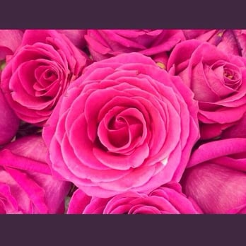 The Hidden Garden Fl Designs 98 Photos 83 Reviews Florists Photo Of The Hidden Garden Fl Designs Los Angeles Ca United States