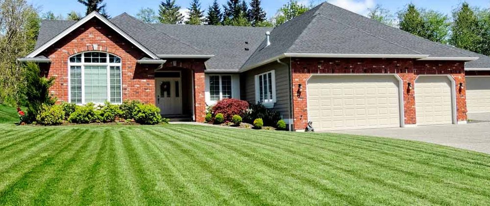 Torrentera Landscape - Ruben's Lawn Service