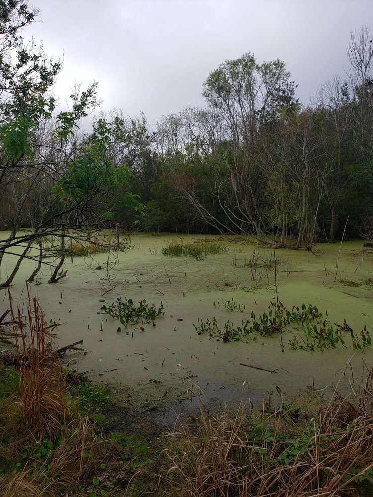 Stonybrook Golf Restaurant