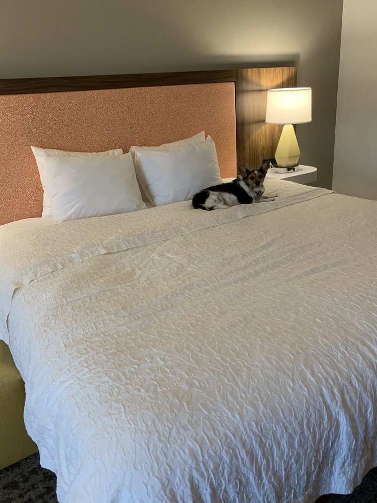 Hampton Inn Salisbury