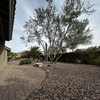 Desert Sage Landscaping gift card