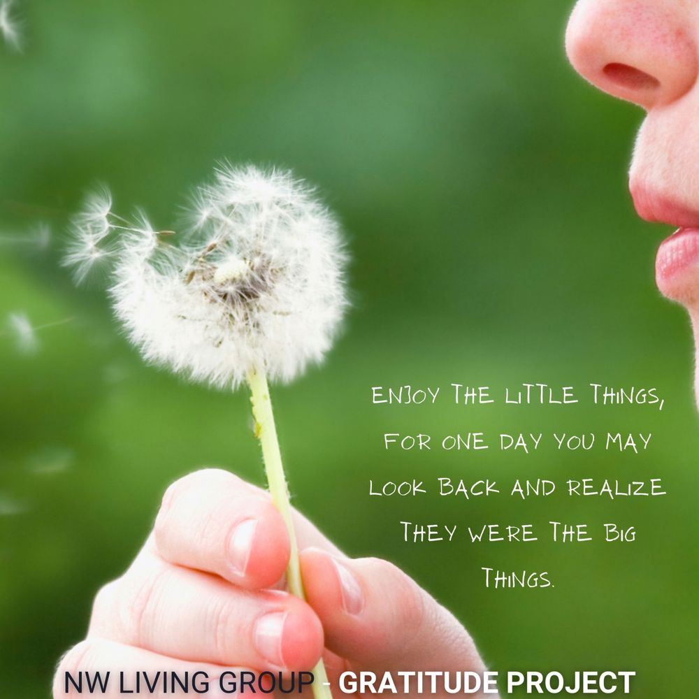 Mimi Osterdahl - Northwest Living Real Estate