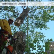 Atlas Tree Service 13 Reviews Tuinaanleg 4874 S 300th W Salt Foto Van Atlas Tree Service Salt Lake City Ut Verenigde Staten Crane