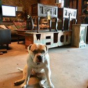 Discoveries Furniture And Finds Closed 47 Photos What Photo Of Discoveries Furniture And Finds Baton Rouge La United States