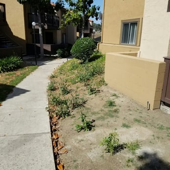 Bella Terra Apartments Vista Ca Reviews Bella Terra Apartments Vista Ca Reviews