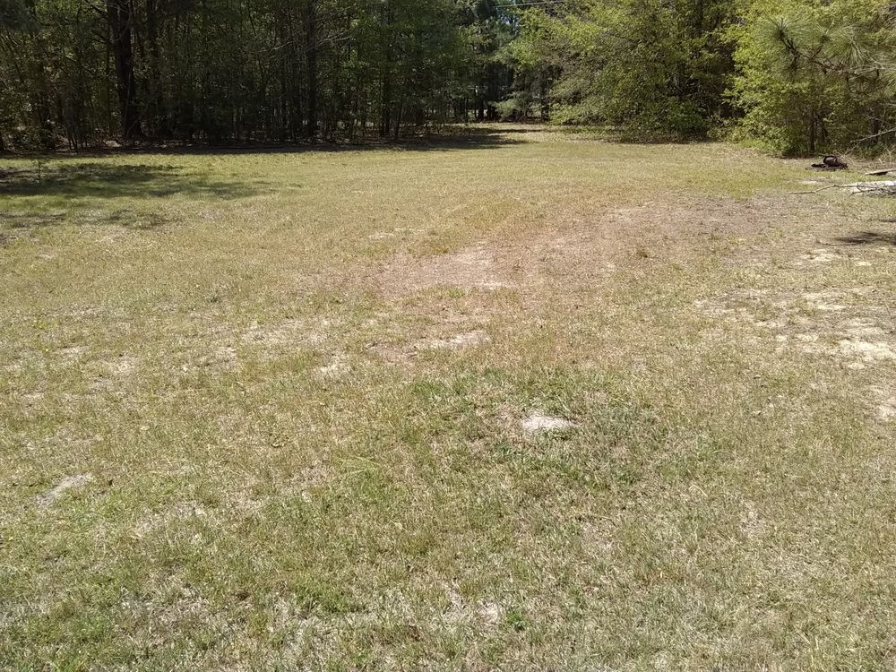 Hansen's General Lawn Care