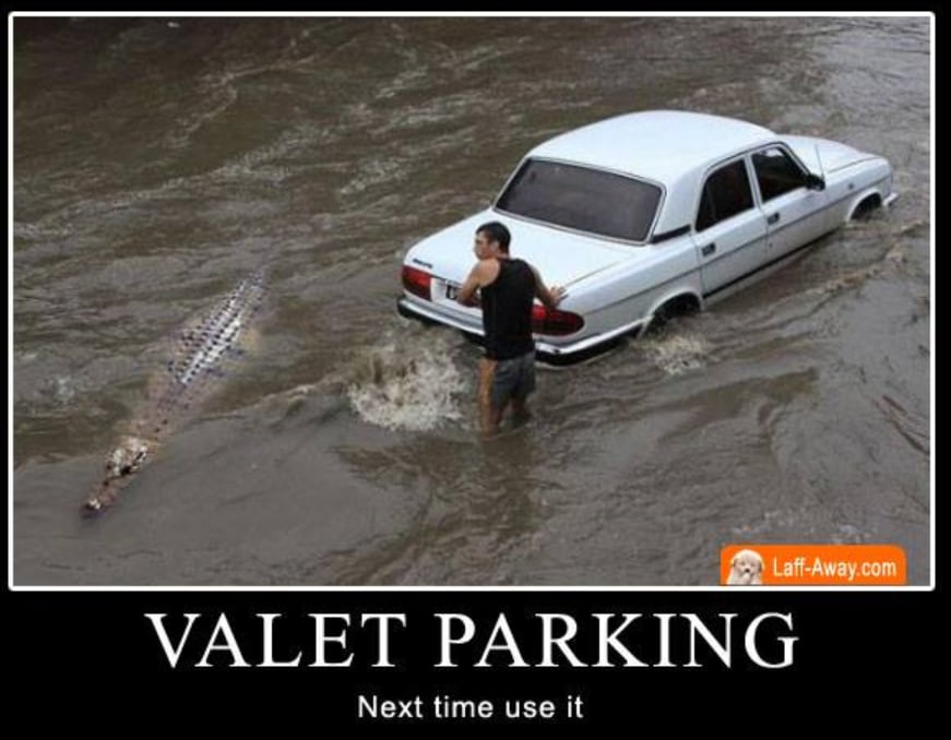 Resort Valet Services, LLC