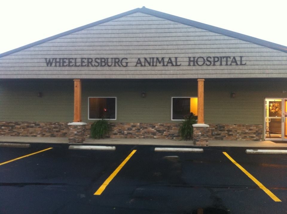 Wheelersburg Animal Hospital Veterinarians 9103 Ohio River Rd