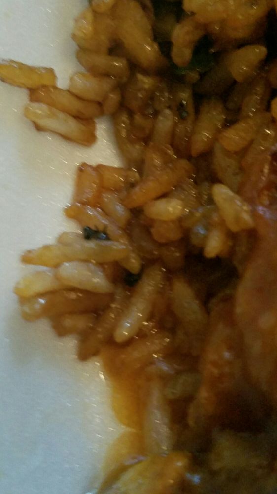 See Thru Chinese Kitchen 5609 W Division St Austin See Thru Chinese Kitchen 5609 W Division St Austin Chicago Il Restaurant Reviews Phone Number Yelp