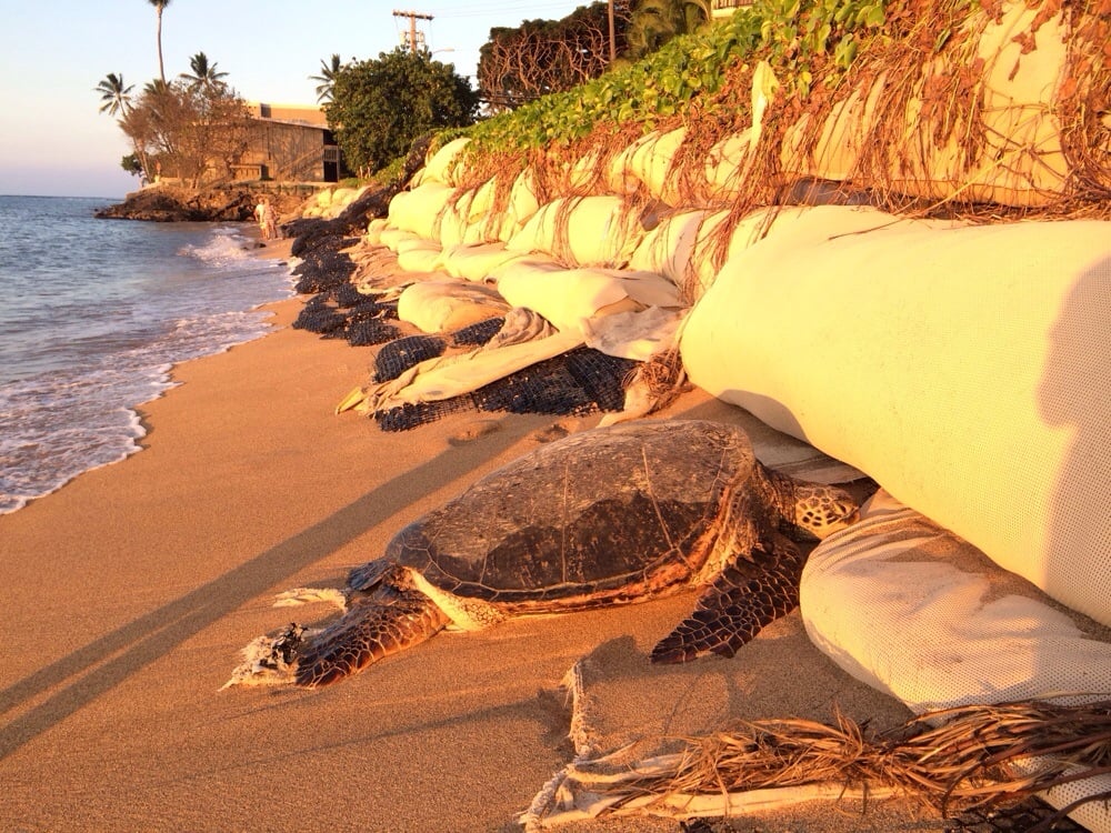 Kahana Falls 43 Photos & 62 Reviews Resorts 4260 Lower Honoapiilani Rd, Lahaina, HI