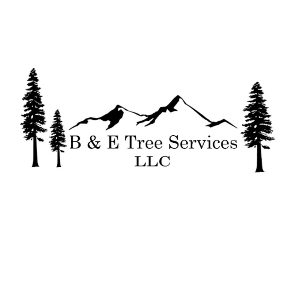 B & E tree service