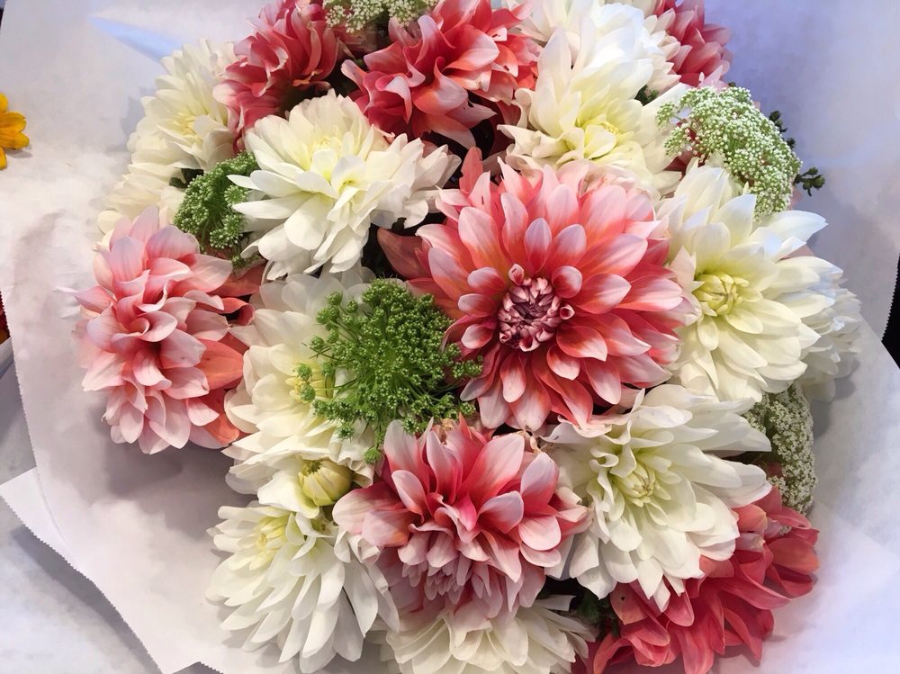 Maika’s Garden 17 Photos Florists 85 Pike St, Downtown, Seattle, WA Phone Number Yelp