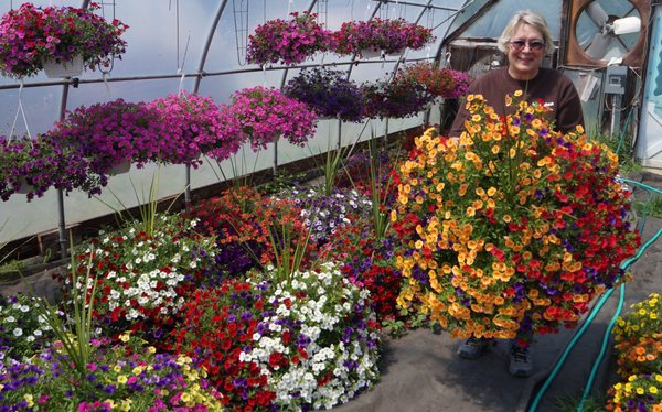 Spring Garden Farms 1585 Main St Birdsboro Pa Greenhouses Mapquest