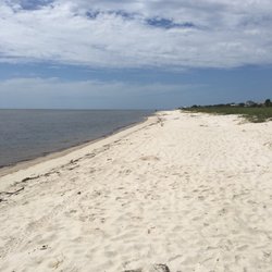 Bald Point State Park 10 Photos Beaches 146 Box Cut Rd Photo Of Bald Point State Park Panacea Fl United States