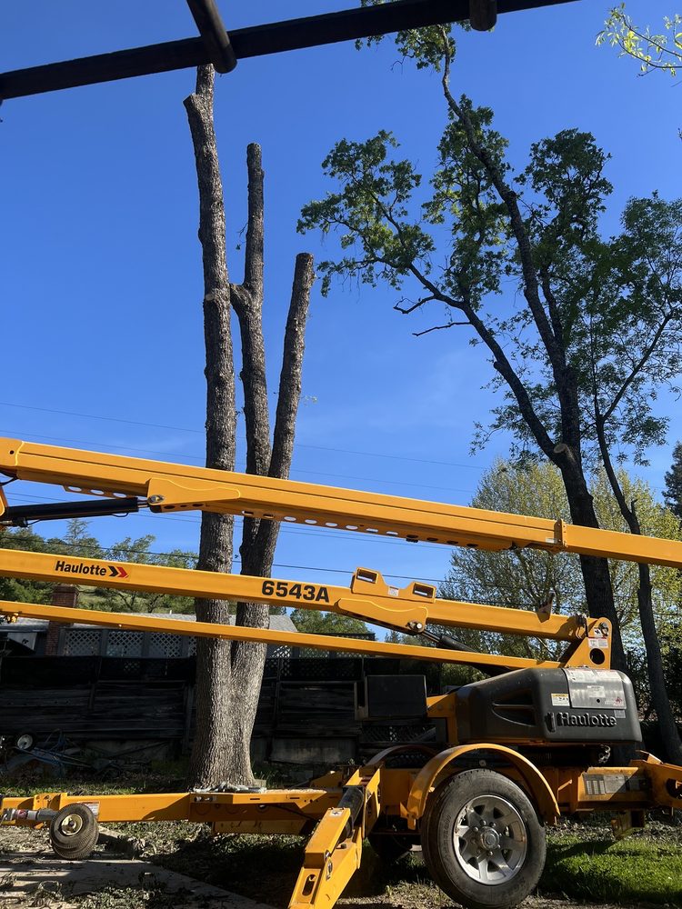 ATC Tree Services