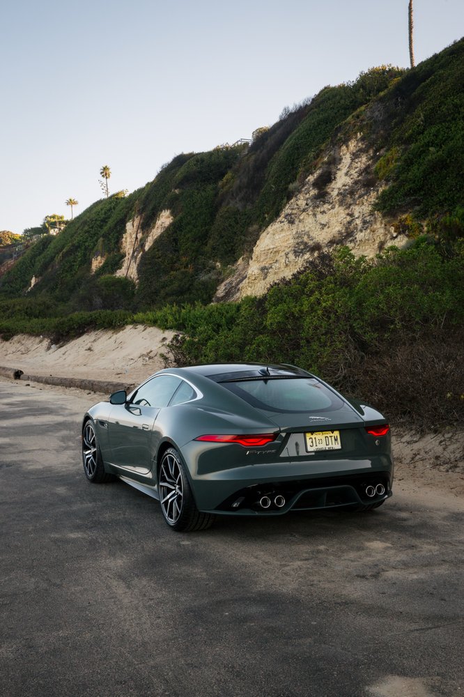 Jaguar Marin