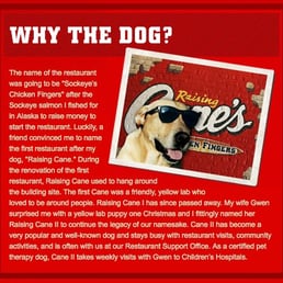 Dog Food Reviews Philippines Dog Food Reviews Philippines