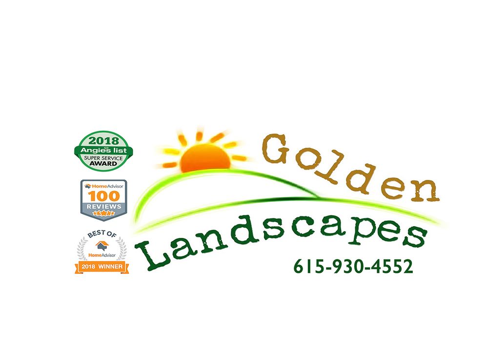 Golden Landscapes