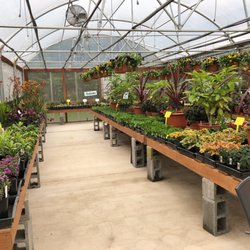 N M Herb Nursery Nurseries Gardening 11702 Feller Rd Ne Photo Of N M Herb Nursery Hubbard Or United States