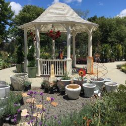 Armstrong Garden Centers 19 Photos 29 Reviews Nurseries Photo Of Armstrong Garden Centers Novato Ca United States
