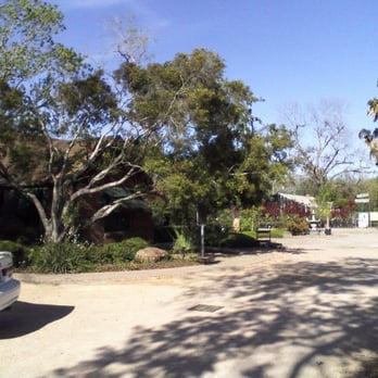 Teas Nursery Closed Nurseries Gardening 4400 Bellaire Blvd Photo Of Teas Nursery Bellaire Tx United States
