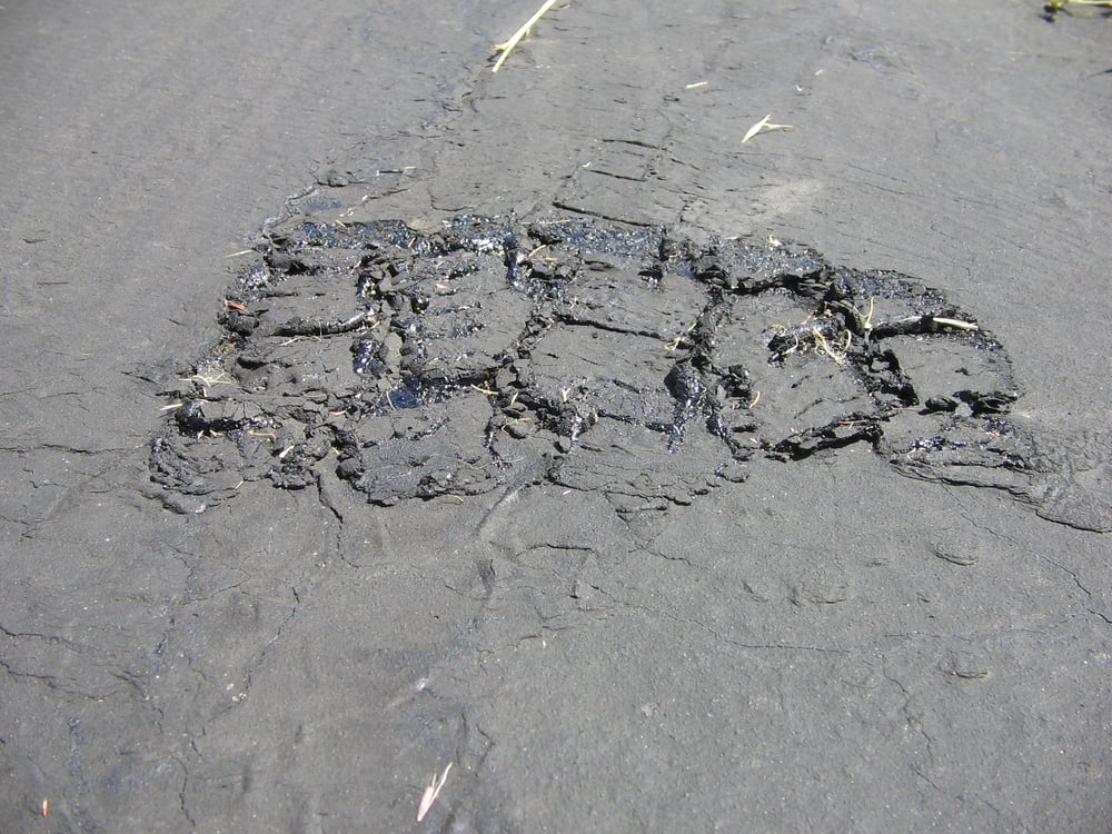 image of business Johnson Asphalt Paving