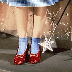 Image result for ruby slippers