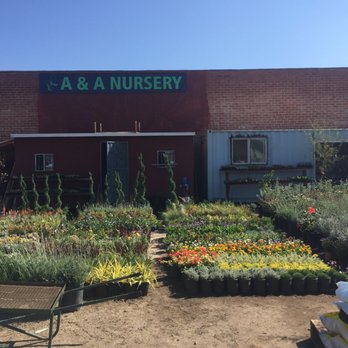 Eden Nursery Closed 15 Reviews Nurseries Gardening 11612 Photo Of Eden Nursery Los Angeles Ca United States