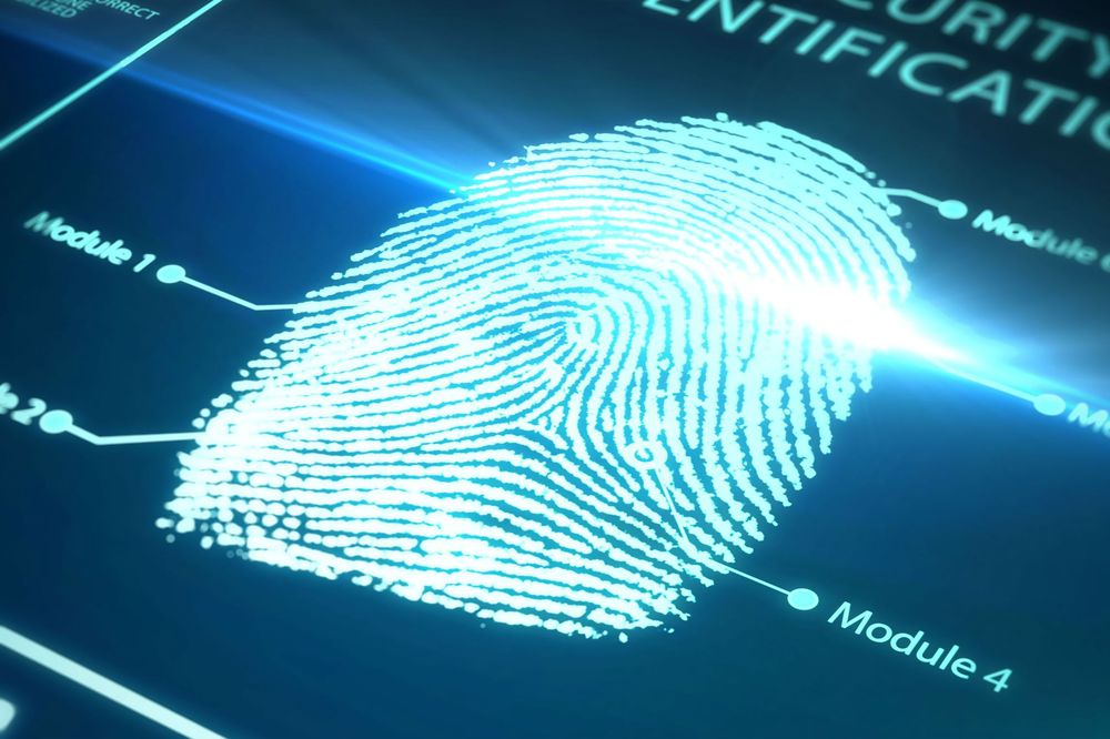 Biometrics Identity Verification System