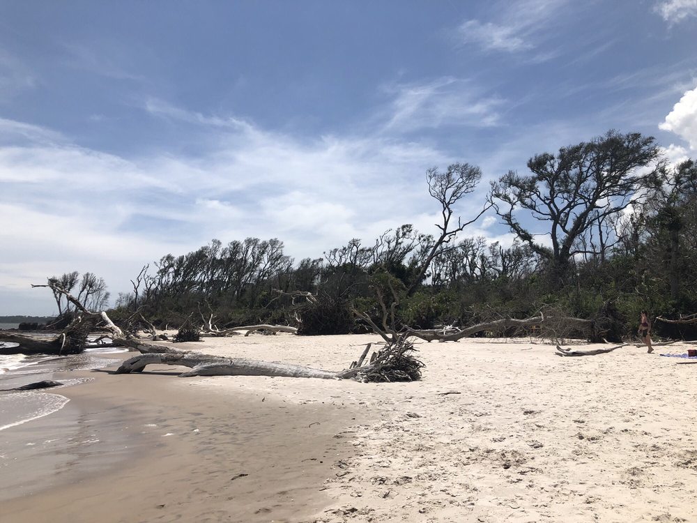 Boneyard Beach Yelp Photo Of Talbot Island State Park Jacksonville Fl United States Boneyard