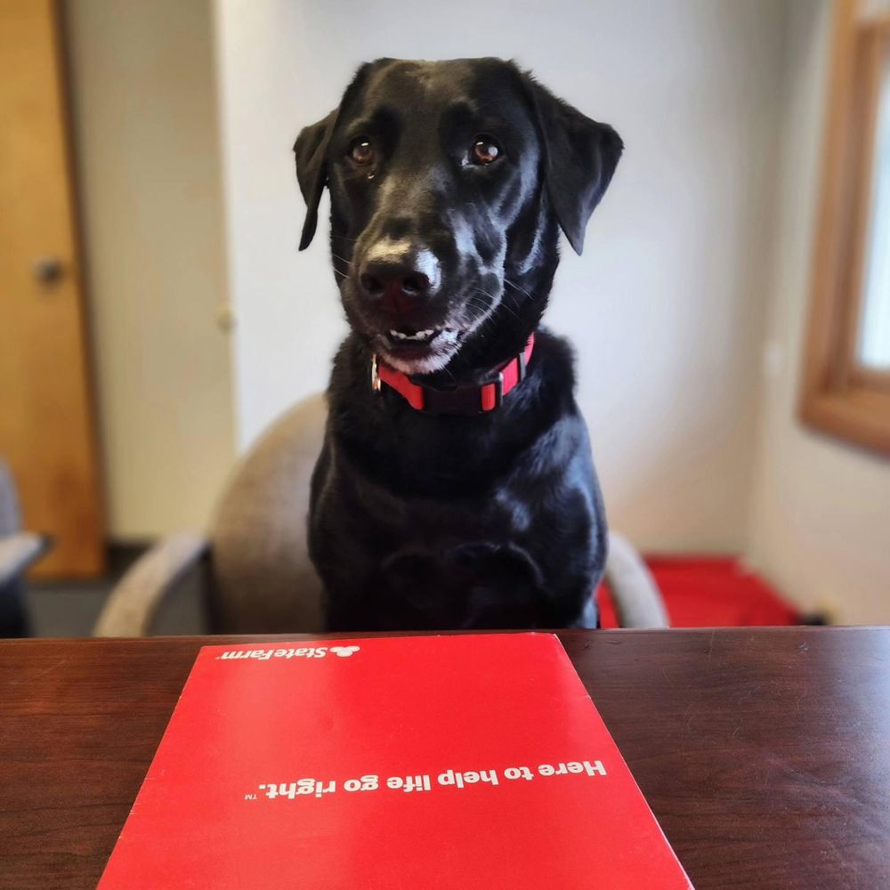 Nicole Hibbard - State Farm Insurance Agent