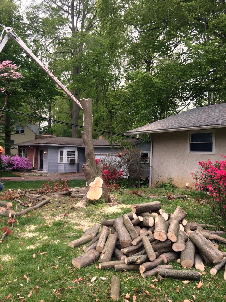 Frank Parenti Tree Service