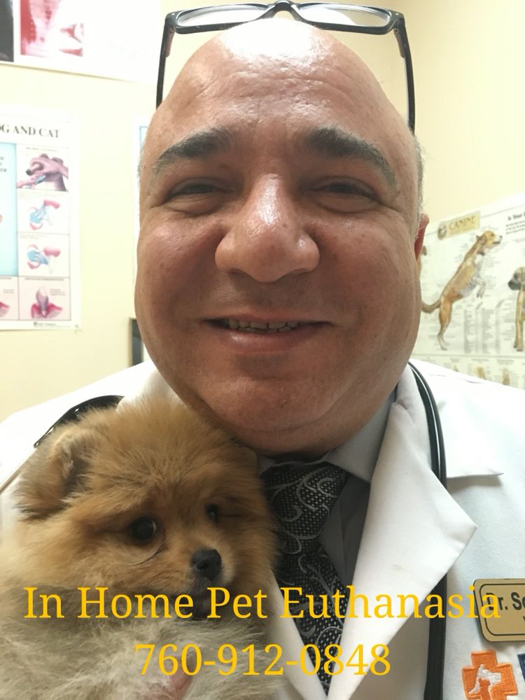 Vet Tech Training Ehrenberg AZ - Find Vet Assistant and Tech Schools