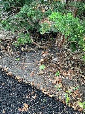 Charlestown Paving & Excavating